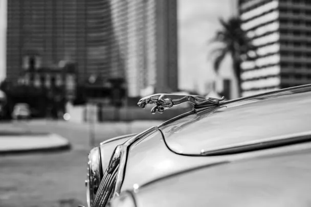 Казино Голден Рийлс Android/iOS приложение